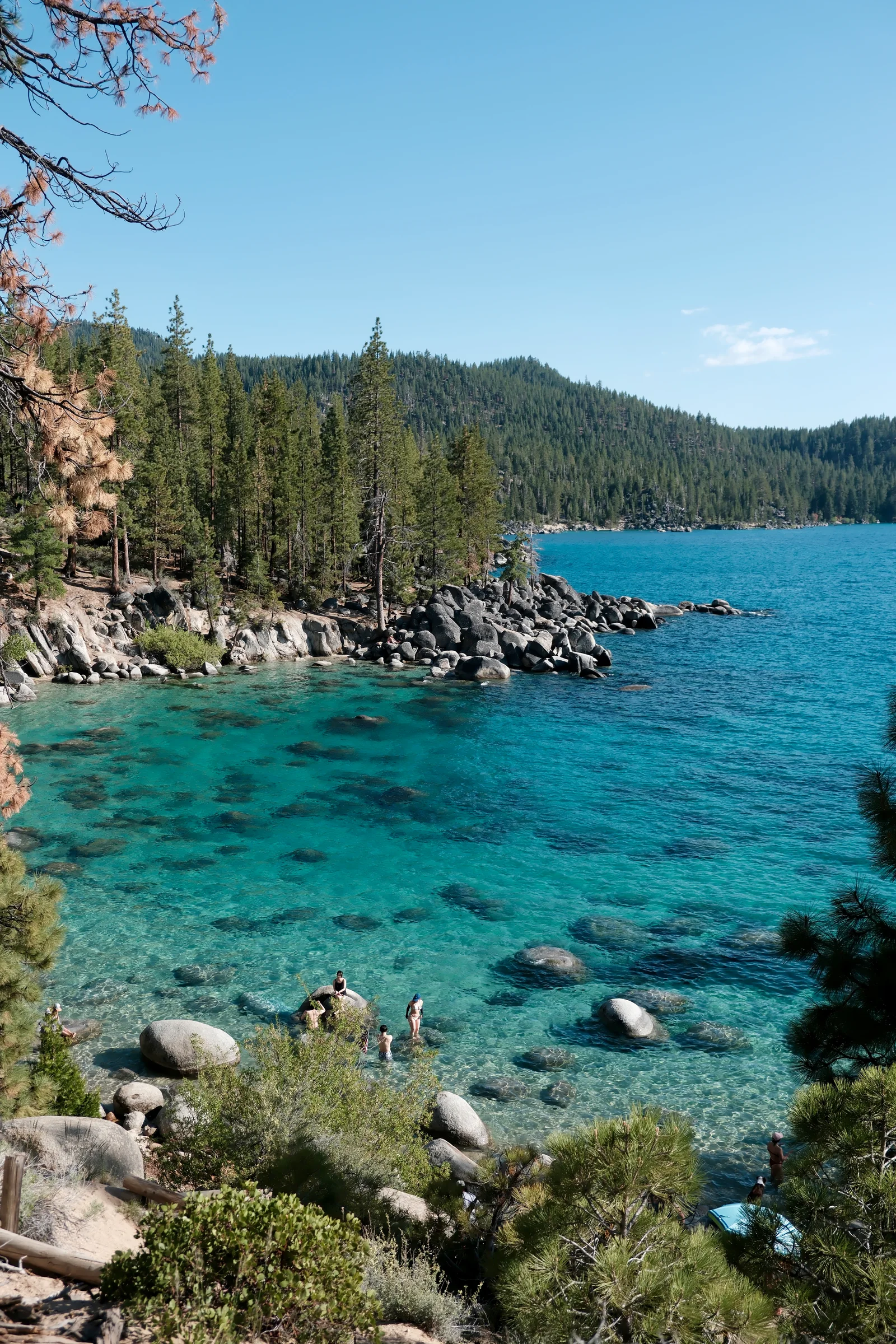 Clear turquoise water meeting boulders and pine trees along the Lake Tahoe shoreline