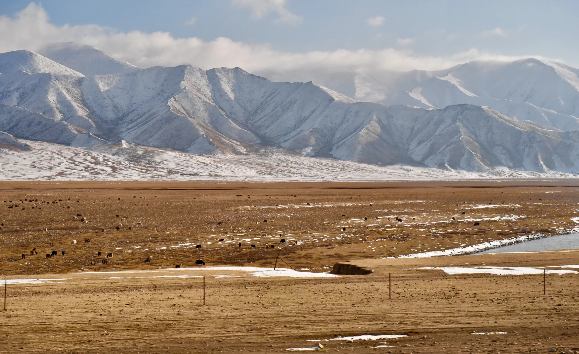 Snow-striped mountains rising beyond the wide brown grasslands of Xinjiang