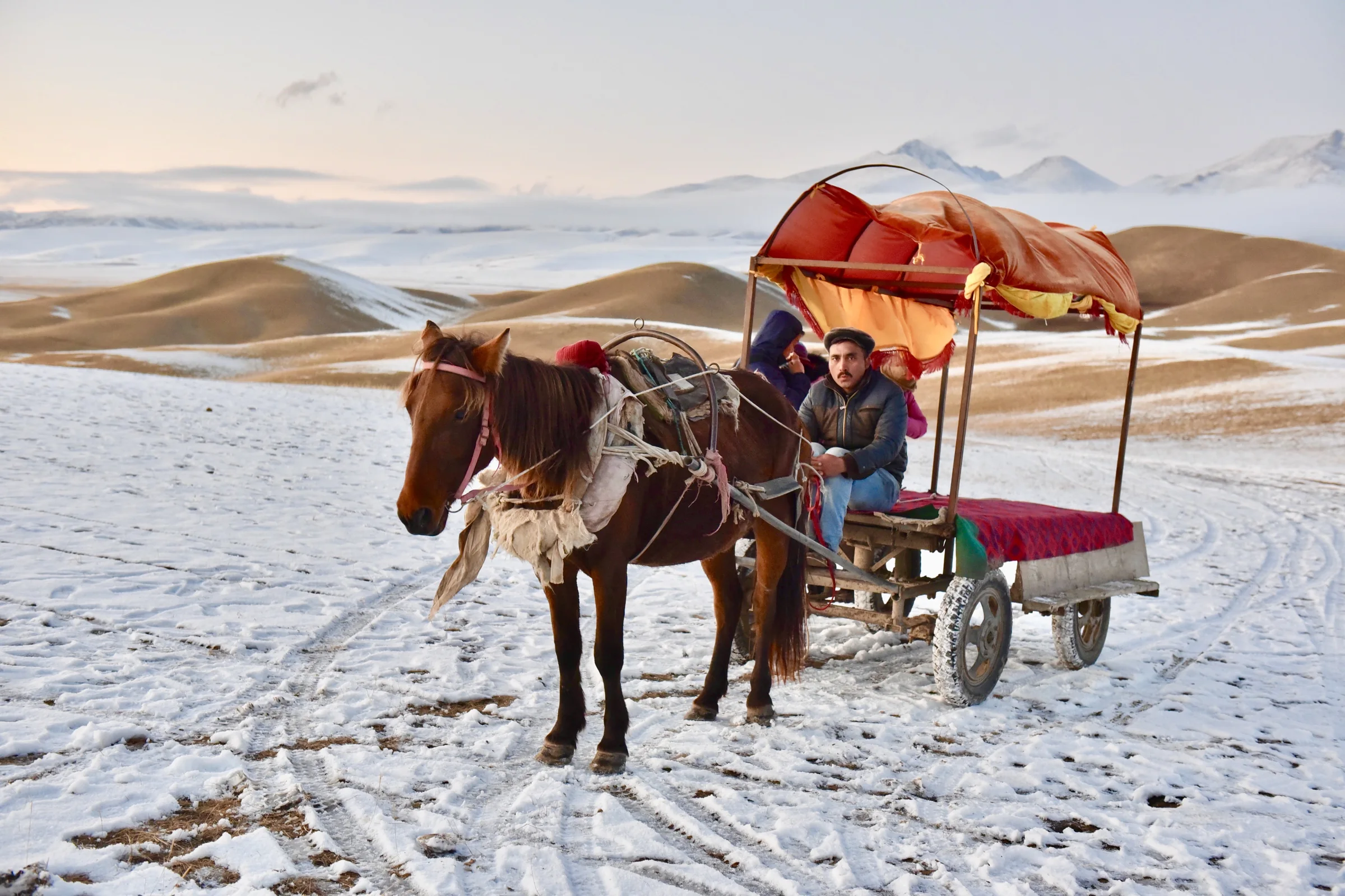 A horse-drawn cart with a red canopy standing on a snowy plain