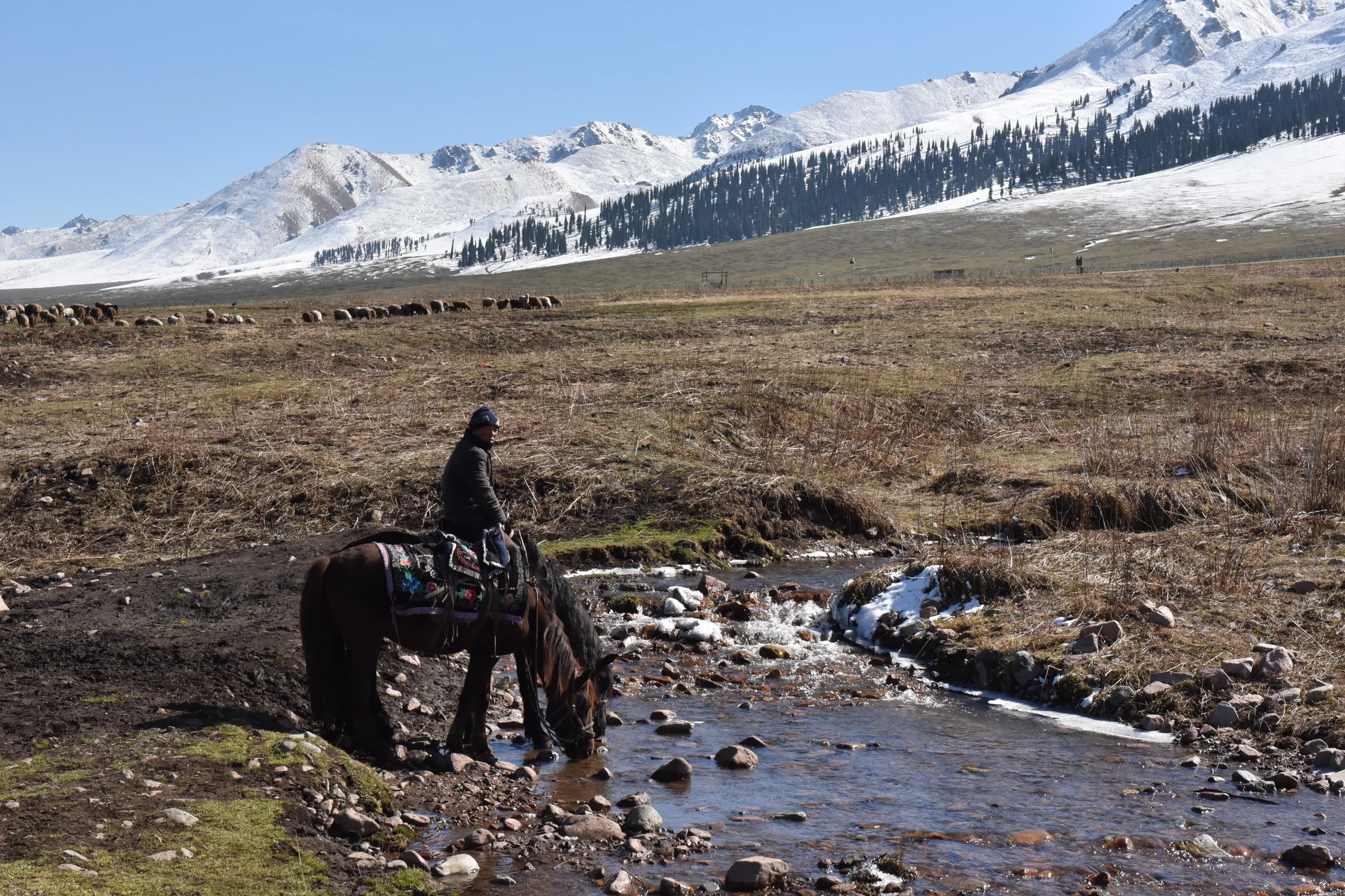 A rider leading a horse through a shallow stream below snowy mountains