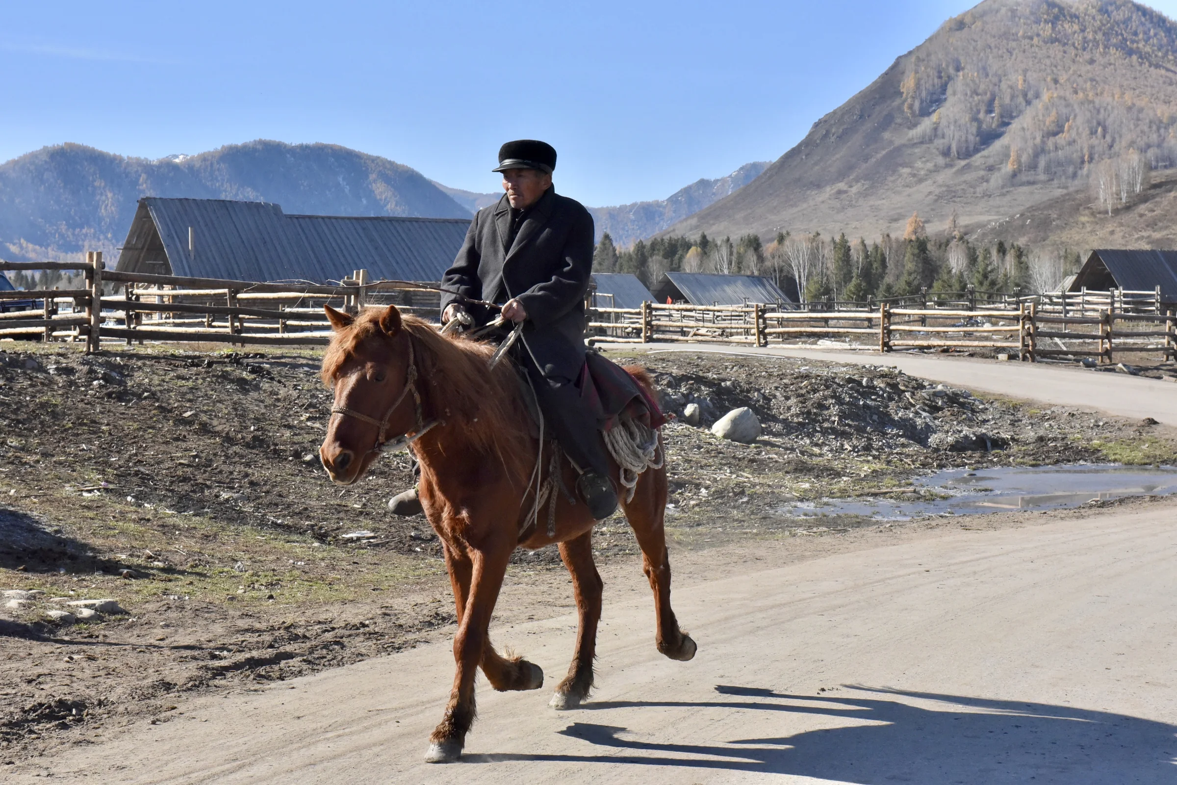 A man riding a brown horse along a quiet village road