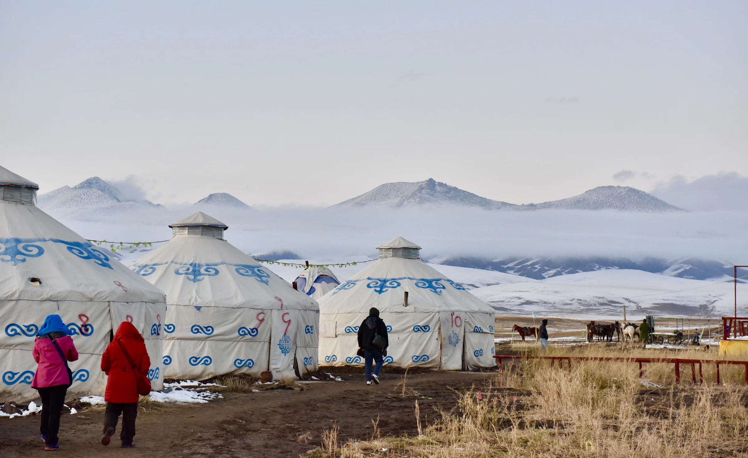 A small group of yurts on open grassland beneath snowy peaks